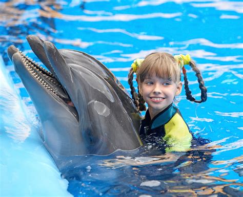 daytona beach dolphin attractions.